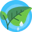 Leaves icon 64x64