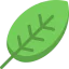 Leaf icon 64x64