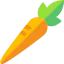 Carrot icon 64x64