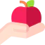 Apple icon 64x64