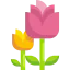 Blossom icon 64x64