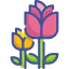 Blossom icon 64x64