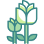 Blossom icon 64x64
