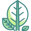 Botanical icône 64x64