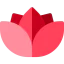 Lotus icon 64x64