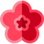Hibiscus icon 64x64