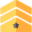 Rank Ikona 64x64