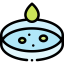 Bacteria icon 64x64