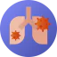 Lungs icon 64x64