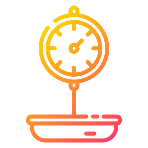Scale icon