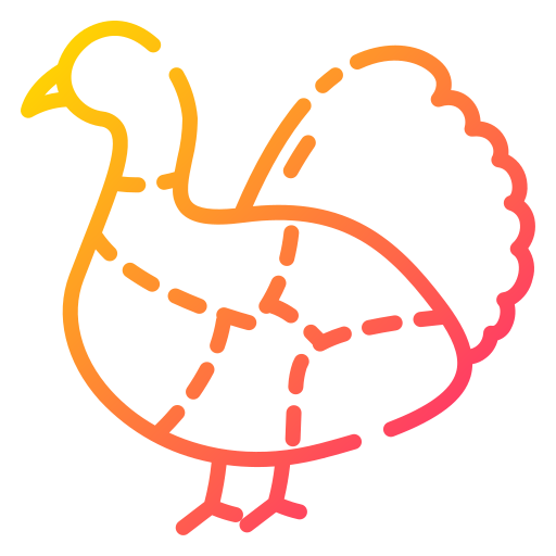 Turkey icon