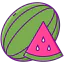 Watermelon icon 64x64