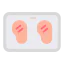 Chicken breast icon 64x64