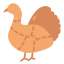 Turkey icon 64x64