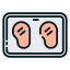 Chicken breast icon 64x64