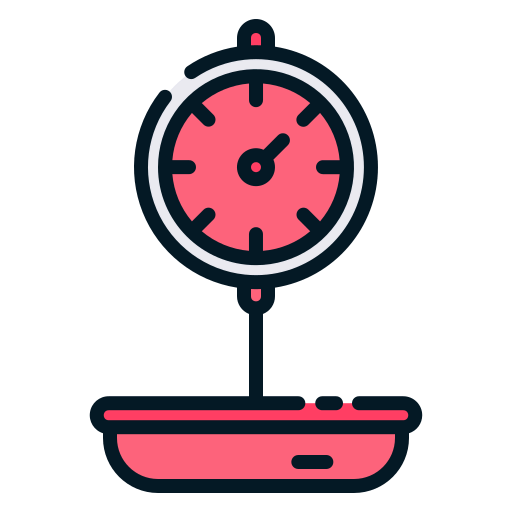 Scale icon