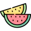 Watermelon icon 64x64