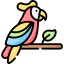 Parrot icon 64x64