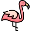 Flamingo іконка 64x64