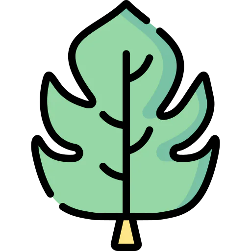 Leaf icon