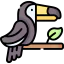 Toucan icône 64x64