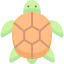 Turtle icon 64x64