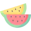 Watermelon icon 64x64
