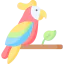 Parrot icon 64x64