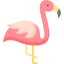 Flamingo іконка 64x64