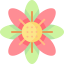 Flower icon 64x64