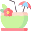 Coconut drink icon 64x64