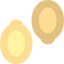 Pumpkin seed іконка 64x64