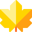 Leaf icon 64x64