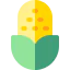 Corn icon 64x64