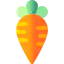 Carrot icon 64x64