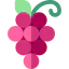 Grapes icon 64x64