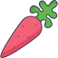Carrot icon 64x64