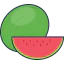 Watermelon icon 64x64