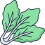 Cabbage Ikona 64x64