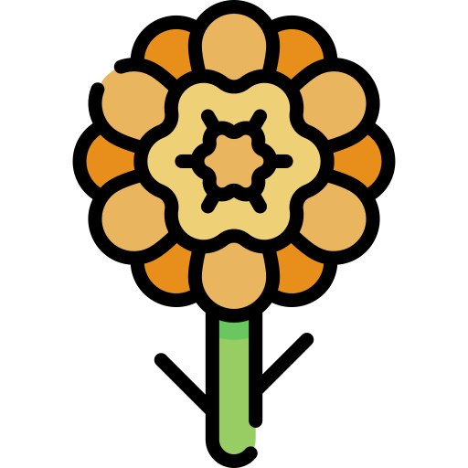 Marigold icon