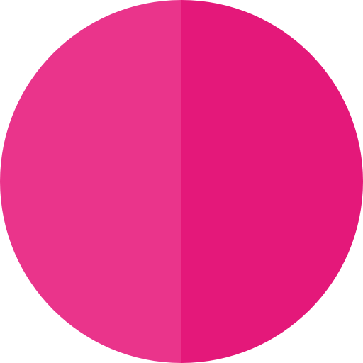 Rec icon