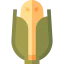 Corn icon 64x64