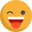 Wink icon 64x64