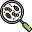 Bacteria icon 64x64