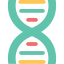 Dna icon 64x64