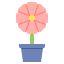 Spring icon 64x64