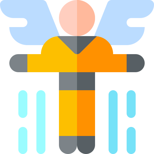 Fly icon