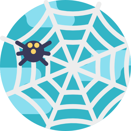 Spider web icon