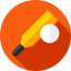 Cricket icon 64x64