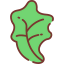 Lettuce icon 64x64